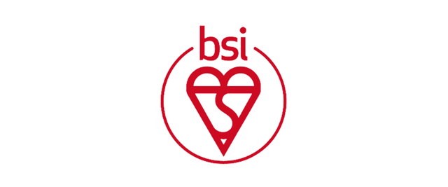 bsi