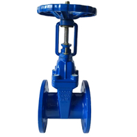 Valvola a saracinesca flangiata con stelo ascendente | Certificato WRAS/NSF61 | Corpo in ghisa sferoidale GGG50 | Rivestimento epossidico Fusion Bonded | PN10/PN16/Classe 150 per la protezione antincendio e idrica municipale