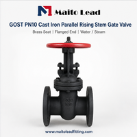 Wholesale High Quality Ductile Iron Gate Valve GOST Russian Standard Gate Valve Manual Power Water Media for Sales
